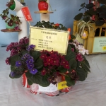 20150512_124736