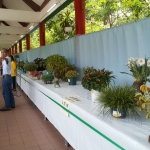 20150512_124837