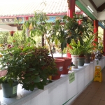 20150512_124840