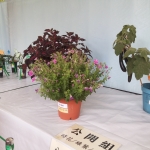 20150512_124849