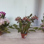 20150512_124914