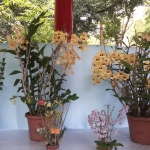 20150512_125009