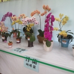 20150512_125038
