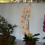 20150512_125059
