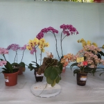 20150512_125109